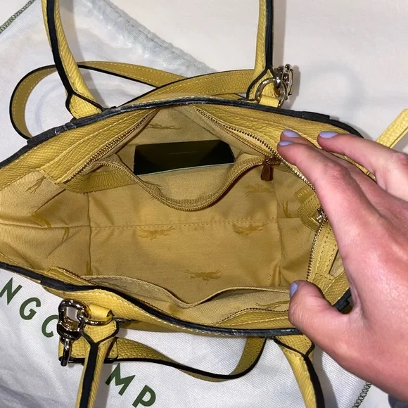 Longchamp Small Mailbox Leather Crossbody Bag